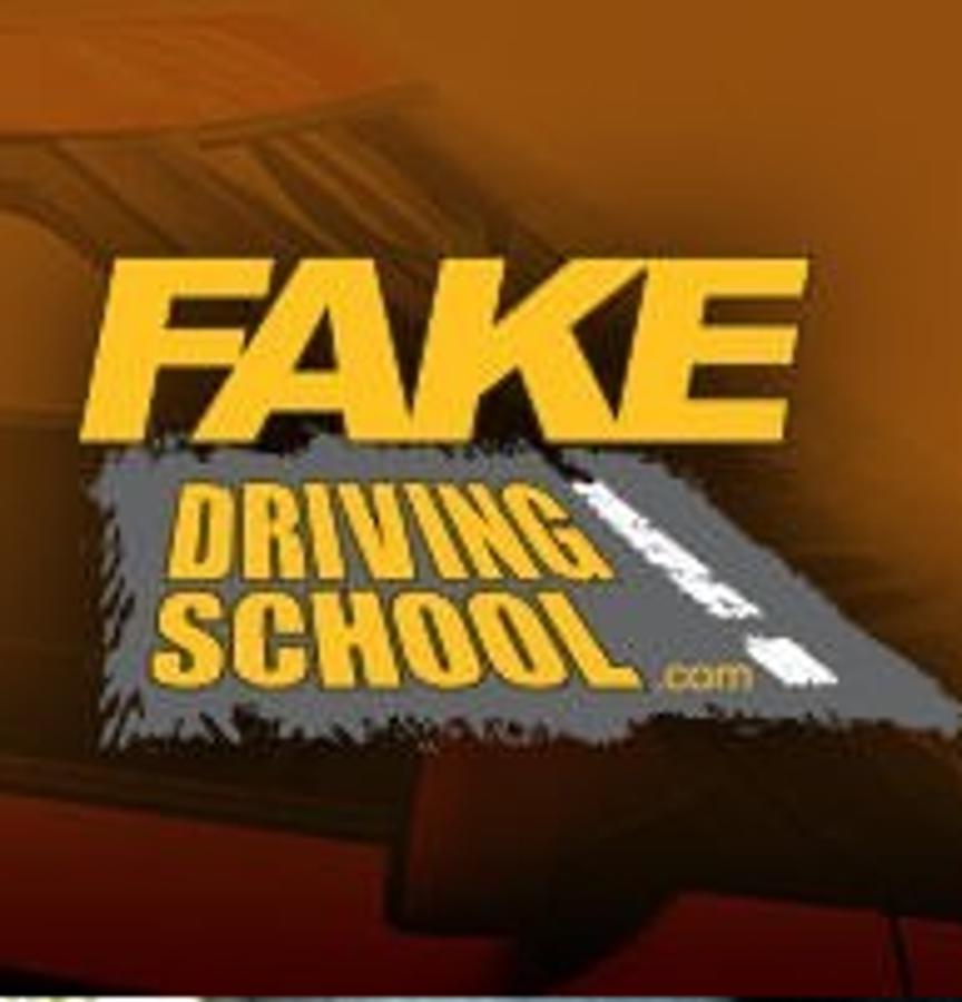 Fake Driving School / fakeinstructor.com / FDS Leak